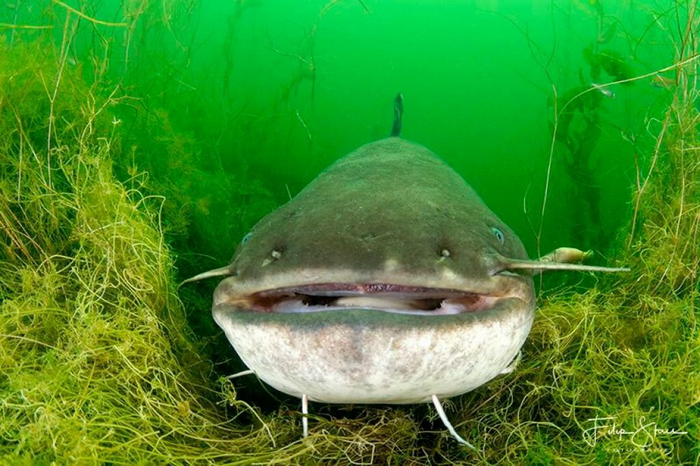 Когда случайно включил фронтальную камеру.