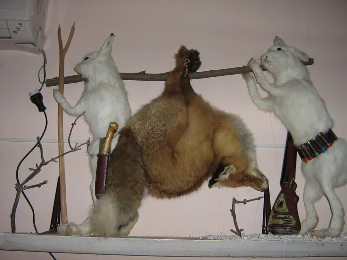 Creativity of the Perm region - My, Travels, Permian, Hunting, Creation, Taxidermy