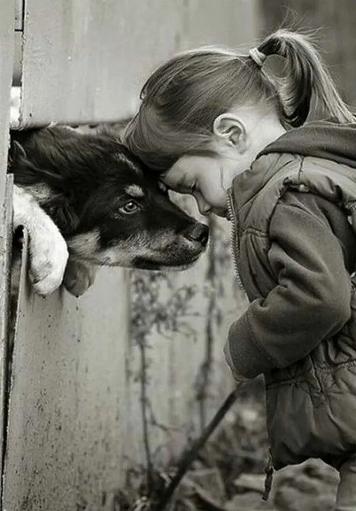 JUST... - Person, A life, friendship, Confidence, Understanding, Animals, Dog, Best friend, Touching, The photo, Black and white photo