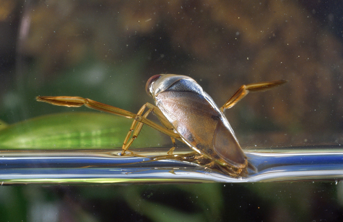 Девочки, записываемся на мастер-класс по шпагатику!