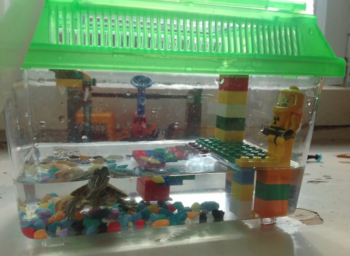 Такой контейнер — не место для жизни рептилии. Это всего лишь переноска, чтобы донести животное до полноценного аквариума.