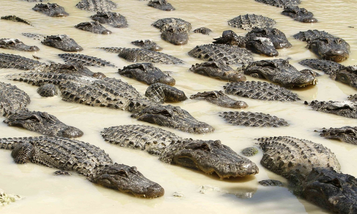 Скоро на всех курортах страны!