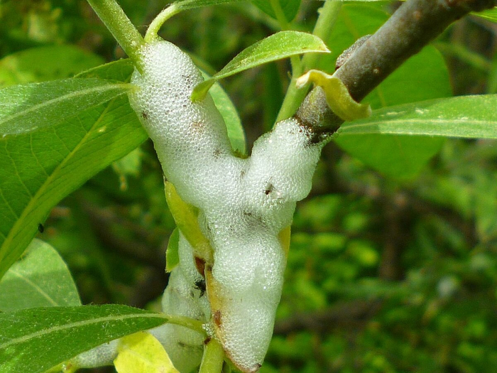 Типичные подростки...