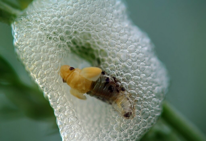 Какое наплевательское отношение к окружающим!