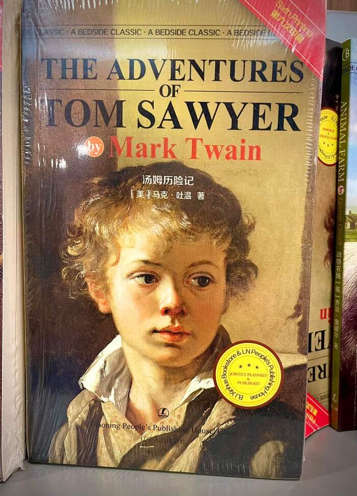 Serf Tom Sawyer - Art, Painting, Chinese, Books