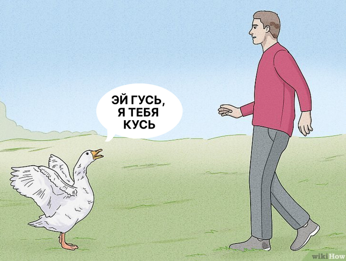 Почему с места падения провода линии электропередачи нужно уходить гусиным шагом?