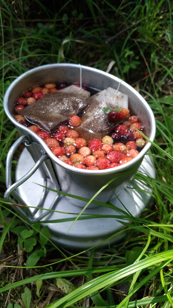 Чаёк с дарами леса)