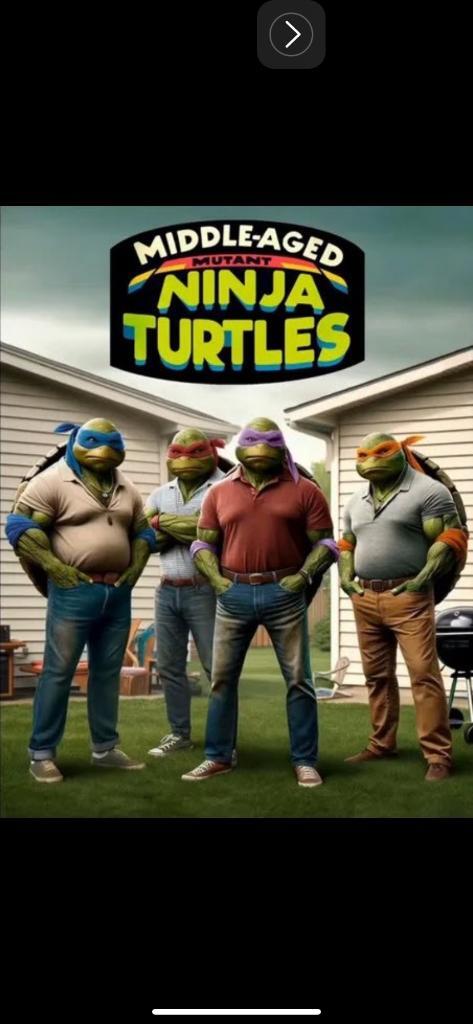 The turtles grew up with you - Teenage Mutant Ninja Turtles, Childhood memories, Youth, Time flies