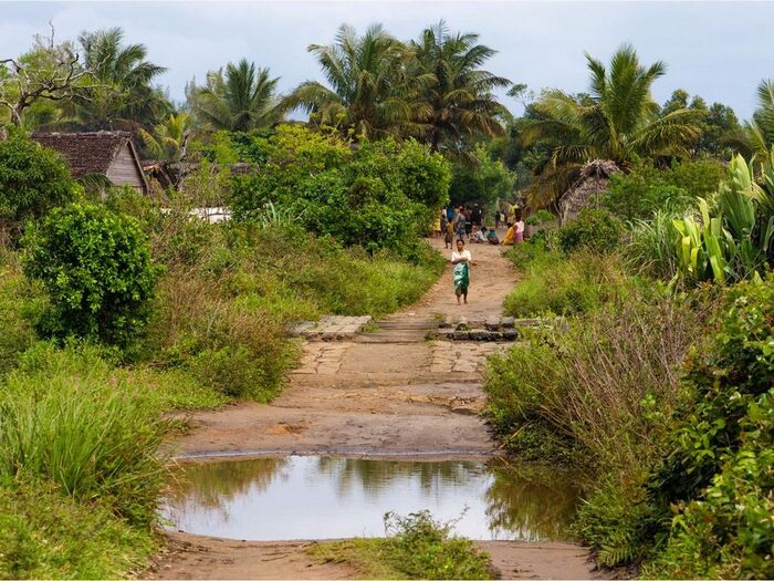 Климат здесь типичен для Центральной Африки - он влажный и жаркий