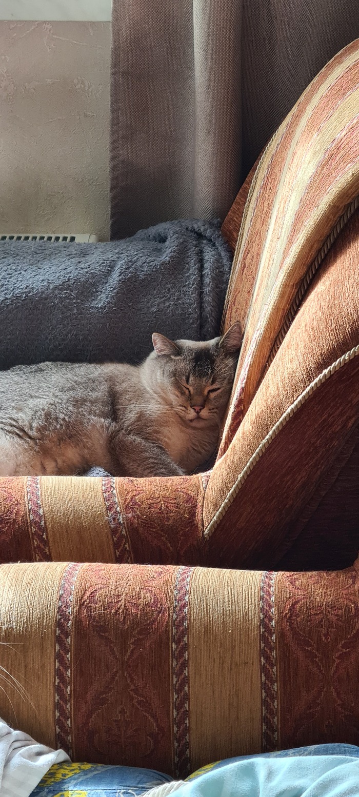 Когда неожиданно отрубило