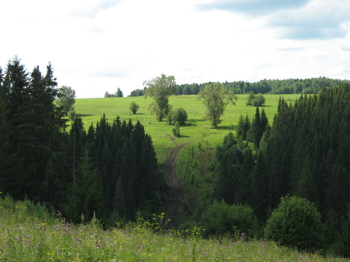 Природа Пермского края