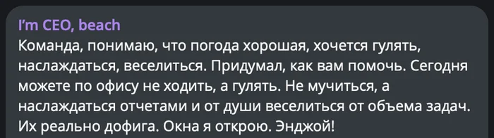 Walk, enjoy, have fun, otherwise tomorrow... - I`m CEO beach, Humor, Colleagues, Bosses, Work, Screenshot, Office, Office weekdays, Summer