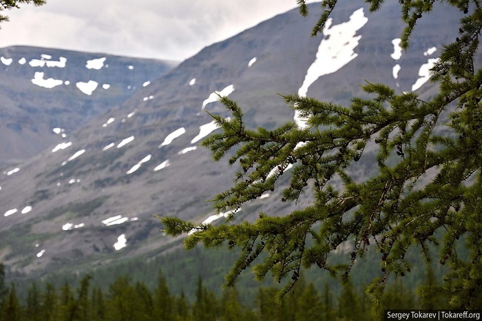  . : <a href="https://pikabu.ru/story/pravda_li_chto_puteshestvie_na_plato_putorana_stoit_bolshe_200_tyisyach_rubley_11546166?u=https%3A%2F%2Fvk.com%2Ftokarevs&t=%D0%A1%D0%B5%D1%80%D0%B3%D0%B5%D0%B9%20%D0%A2%D0%BE%D0%BA%D0%B0%D1%80%D0%B5%D0%B2%20%7C%20%D0%92%D0%9A%D0%BE%D0%BD%D1%82%D0%B0%D0%BA%D1%82%D0%B5&h=6176b3d53cc704772e2c43a1084c6f3ad353dd85" title="https://vk.com/tokarevs" target="_blank" rel="nofollow noopener">  | </a>