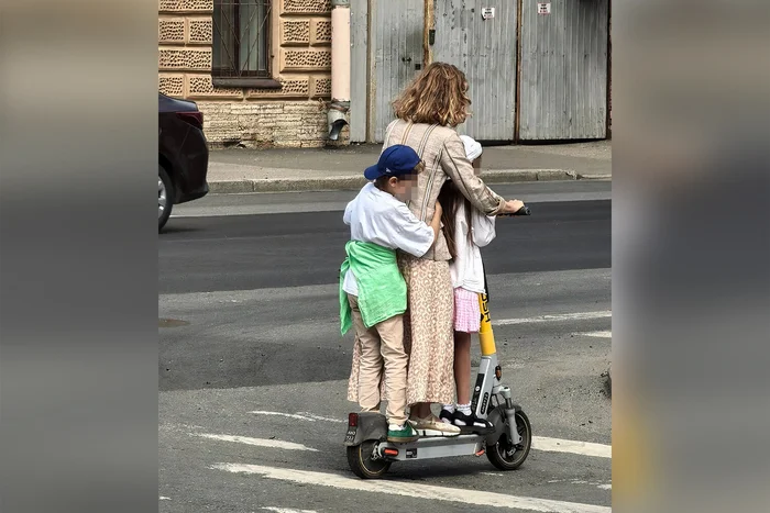 Just news: a fine for riding a scooter, plastic in a cutlet and an ugly dog - news, Russia, Dog, Airline, Saint Petersburg, Kick scooter, Video, Longpost