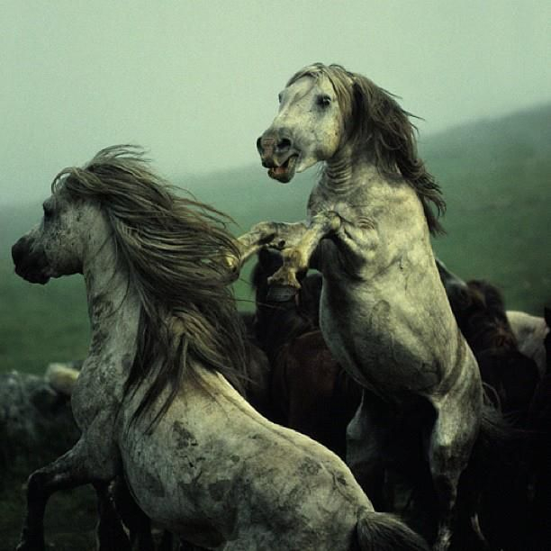 Больше у тебя не получится прятаться за мамкиной юбкой!