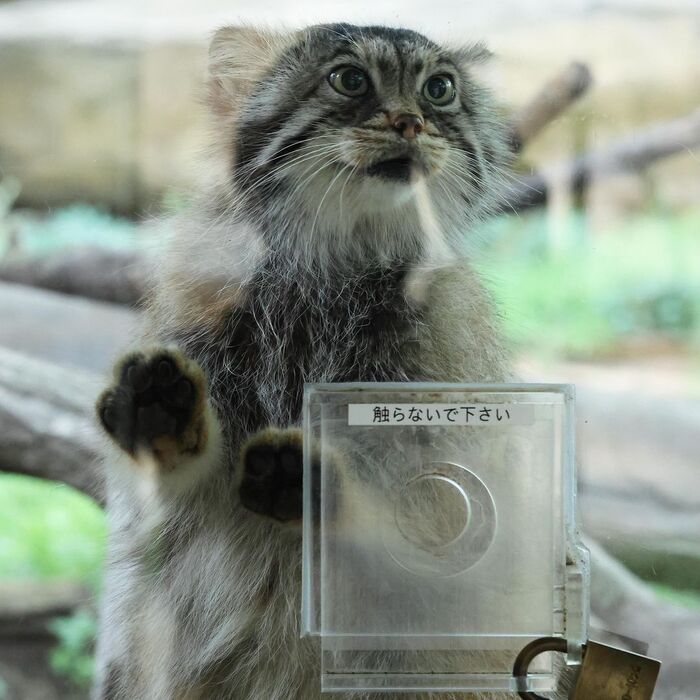 Вся в ожидании