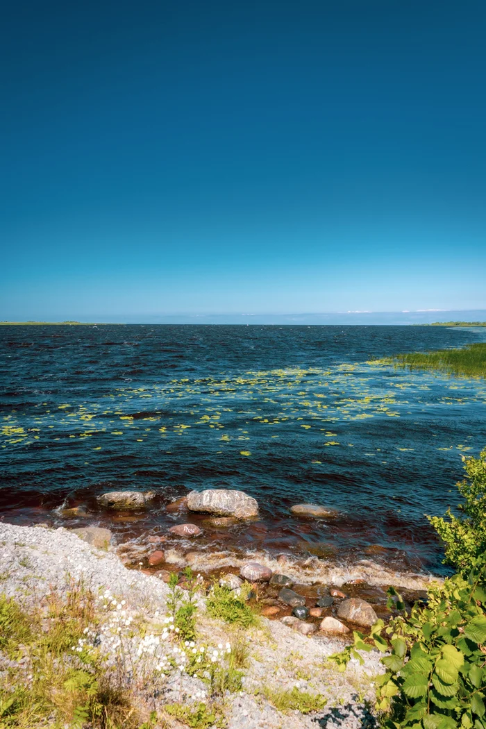 Dark water under clear skies - My, The photo, Nature, Landscape, Summer, Ladoga lake