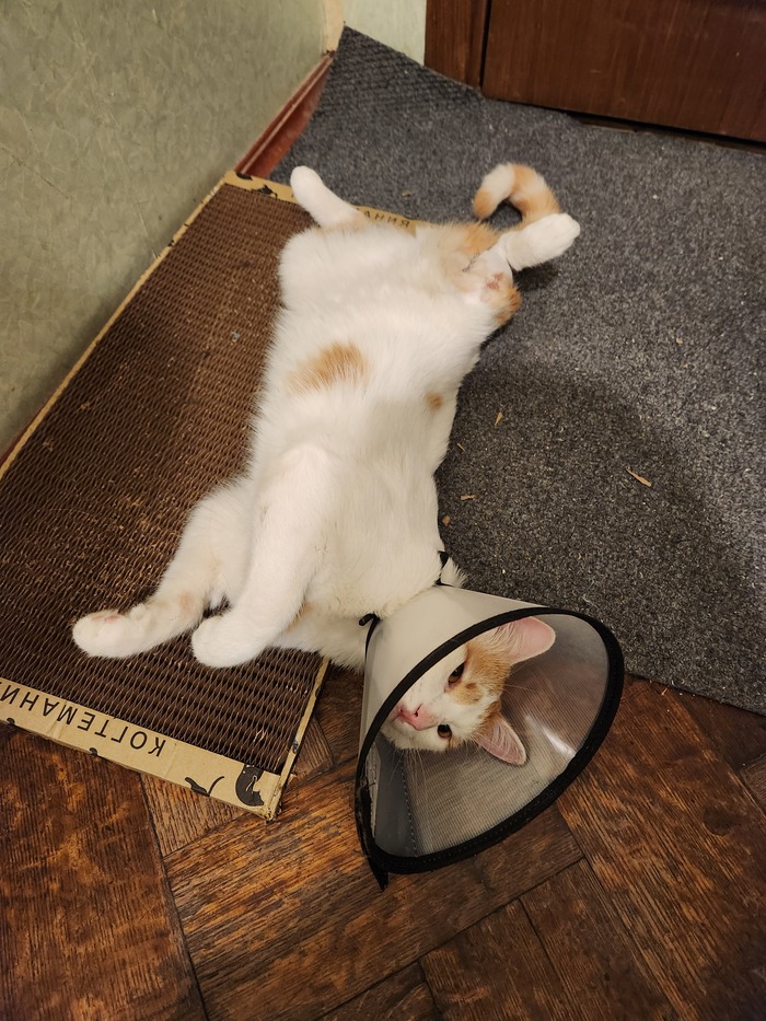 Фото сейчас