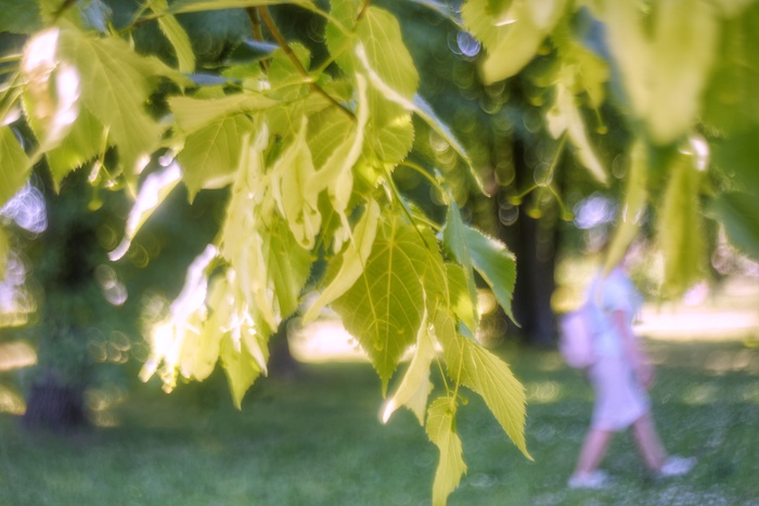 ��� ����, ������� �����, � ���������� ��������� � ������� � ������ �� �����������