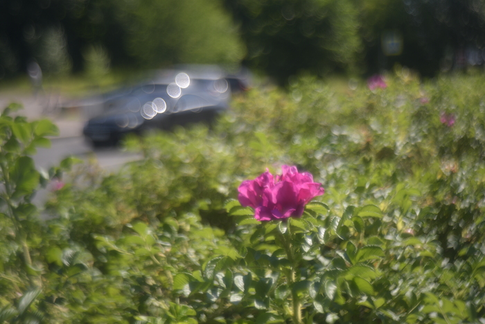 ��� ��� ��