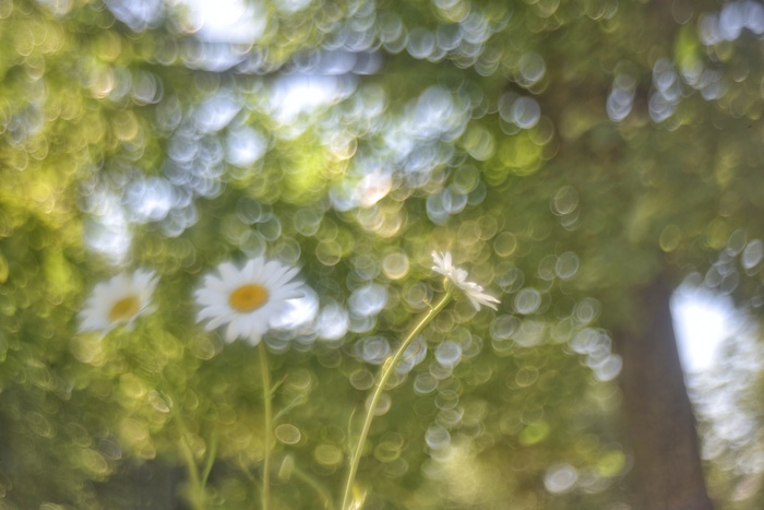 ��� �� ������� ������ ����