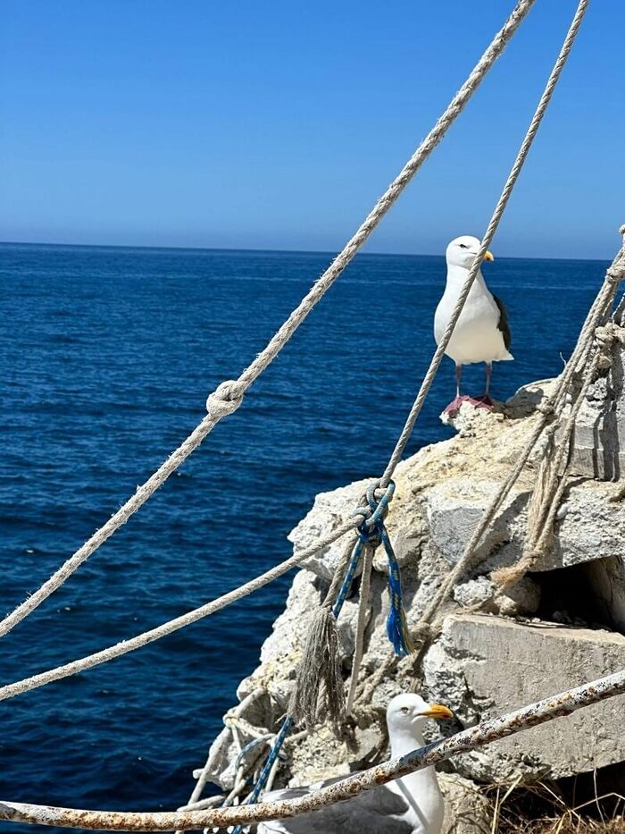  . <a href="https://pikabu.ru/story/mayak_aniva__samyiy_trudnodostupnyiy_mayak_sakhalina_i_rossii_11548464?u=https%3A%2F%2Fvk.com%2Fid2728918&t=%D0%A4%D0%BE%D1%82%D0%BE%3A%20%D0%9C%D0%B0%D1%80%D0%B8%D1%8F%20%D0%91%D0%B0%D0%B7%D1%83%D0%BD%D0%BE%D0%B2%D0%B0%20%7C%20%D0%92%D0%9A%D0%BE%D0%BD%D1%82%D0%B0%D0%BA%D1%82%D0%B5&h=91054997b463f3e3b3fcdc20afa4633291a71764" title="https://vk.com/id2728918" target="_blank" rel="nofollow noopener">:   | </a>