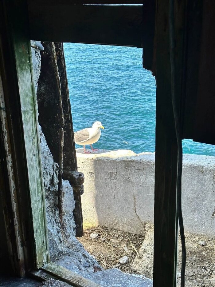  . <a href="https://pikabu.ru/story/mayak_aniva__samyiy_trudnodostupnyiy_mayak_sakhalina_i_rossii_11548464?u=https%3A%2F%2Fvk.com%2Fid2728918&t=%D0%A4%D0%BE%D1%82%D0%BE%3A%20%D0%9C%D0%B0%D1%80%D0%B8%D1%8F%20%D0%91%D0%B0%D0%B7%D1%83%D0%BD%D0%BE%D0%B2%D0%B0%20%7C%20%D0%92%D0%9A%D0%BE%D0%BD%D1%82%D0%B0%D0%BA%D1%82%D0%B5&h=91054997b463f3e3b3fcdc20afa4633291a71764" title="https://vk.com/id2728918" target="_blank" rel="nofollow noopener">:   | </a>