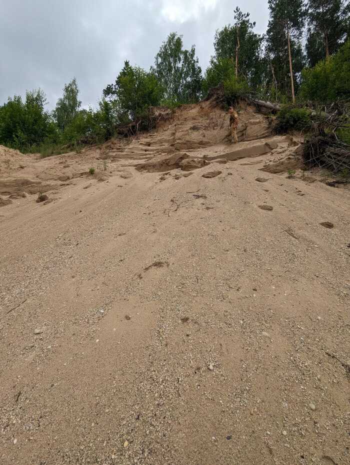 Sand pit - two people! - My, Fossils, Paleontology, Vologodskaya Oblast, Fossil, Brachiopods, Coral, Longpost