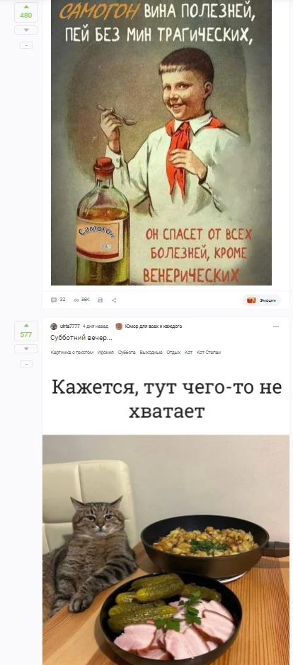 The answer was given in advance) - Humor, Screenshot, Peekaboo, Coincidence, Posts on Peekaboo, Matching posts