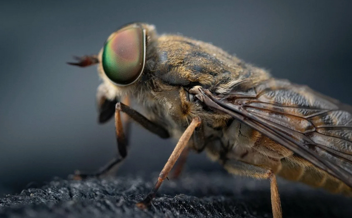        .        .     ,    .