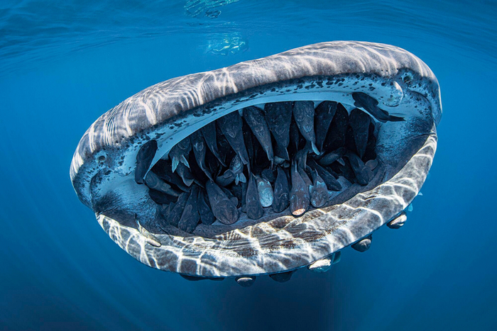   . ,           .             .