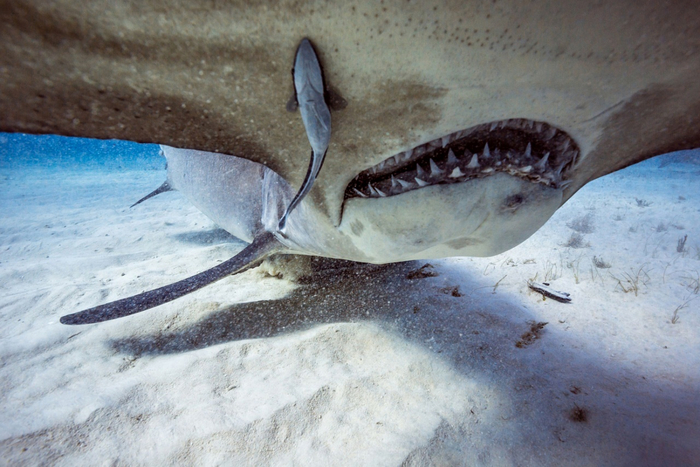         .        .  ,    .        !