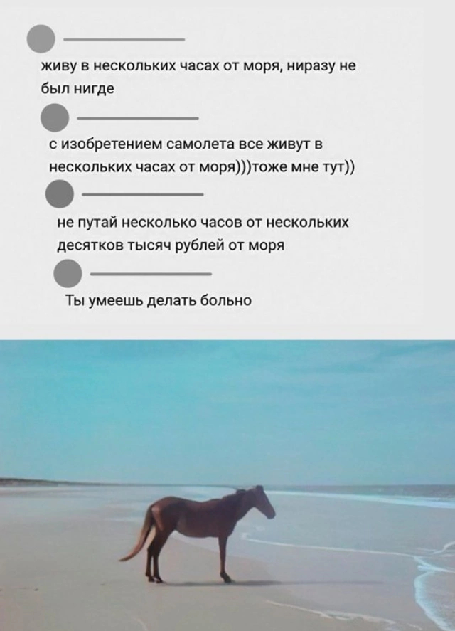 Sly - From the network, Humor, Picture with text, Sea, Images, Screenshot, Comments, Hardened, Horses