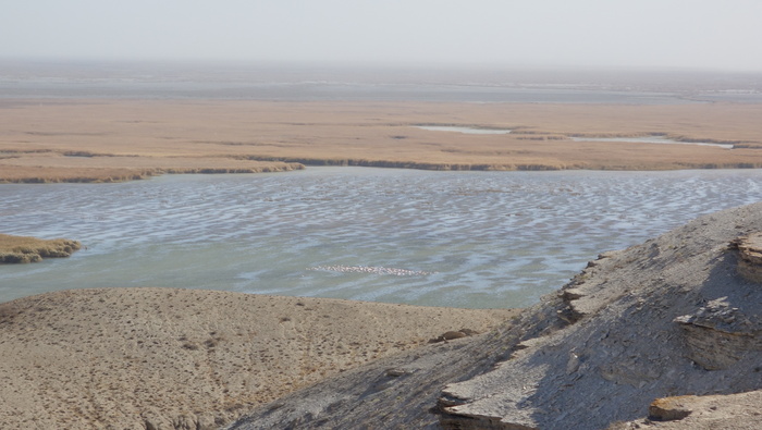 Оз. Судачье. Если присмотреться, в передней части озера стая фламинго