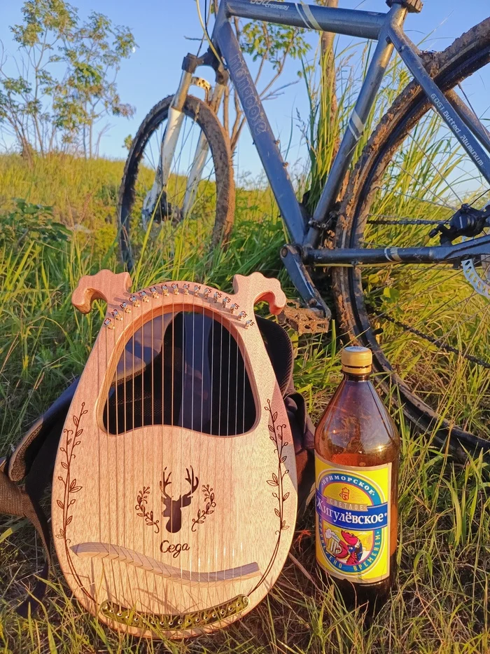 Lyrical - My, A bike, Evening, Lyre, liquid bread