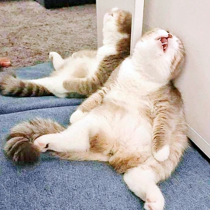      , ,  , ,  ,   