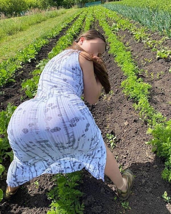 ,      , 