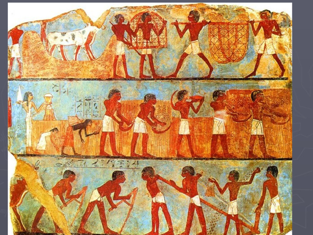 Cereals in Ancient Egypt - Ancient artifacts, Archeology, History (science), Ancient Egypt, Crops, Wheat, Fresco, Antiquity