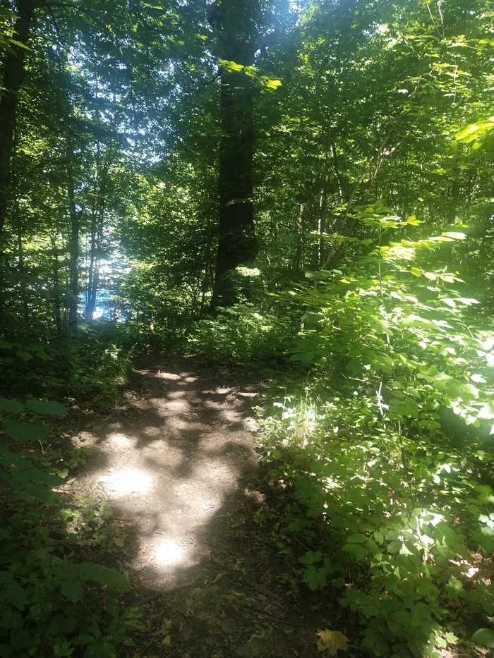 Lithuanian shaft. Kaliningrad. The magical beauty of nature. Restart - My, Lithuanian, Tourism, Kaliningrad, sights, Nature, The nature of Russia, Old man, Travel across Russia, Longpost