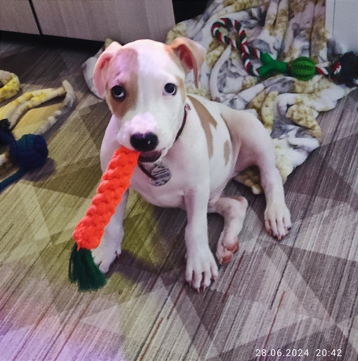 Этот взгляд