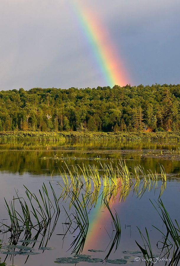 Rainbow - Радуга, Фотография