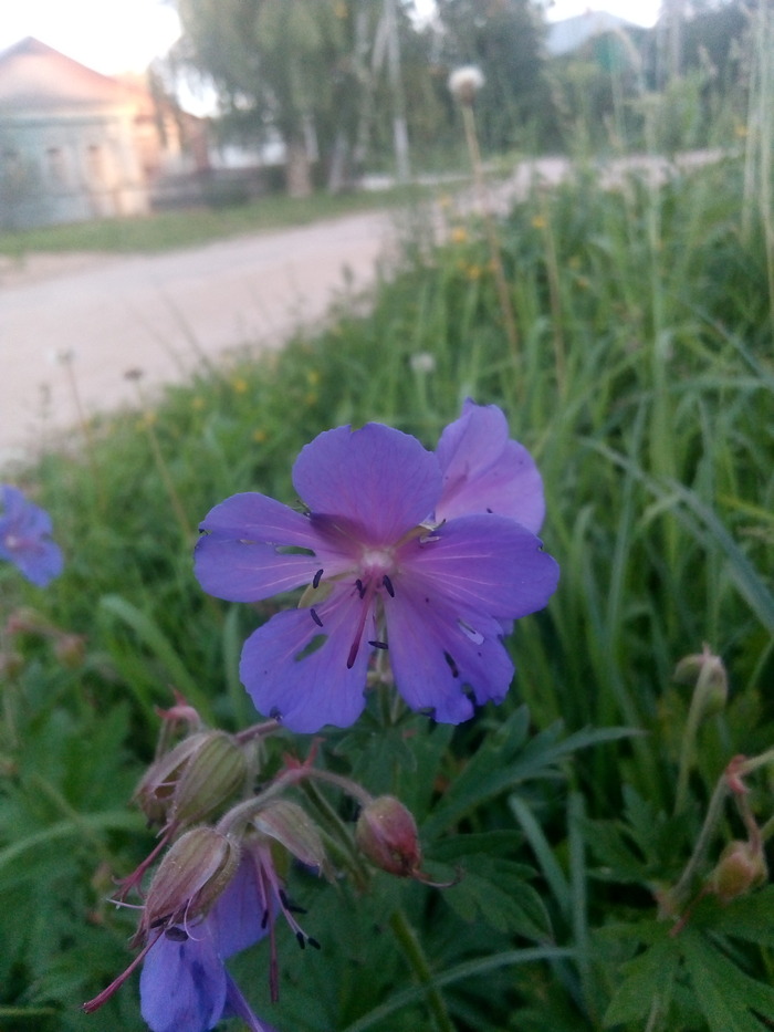 �� ����, ���. ������� ��������� ��������, �� ����� ��� �� ���.