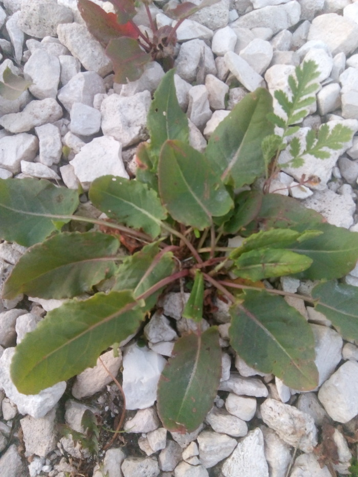 ������ ��. �� ������, �� ��� ��� ������. ��� �� "���������� �����"