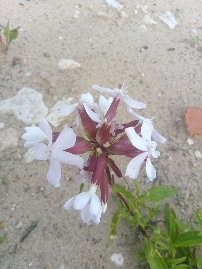 ��� ����� �� ����, ��� �����. ������, ��� ������.