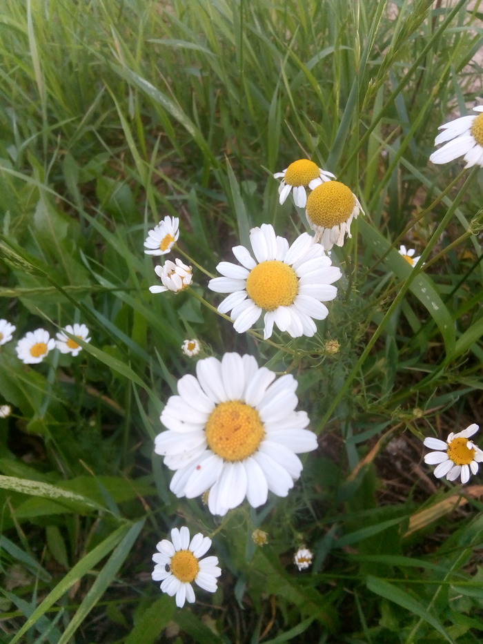 ��� ������ �������� �� ����.