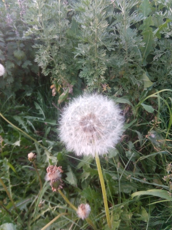 ��� � �������� �������� � ���������� - ��� ��� ������. � ������ ������.