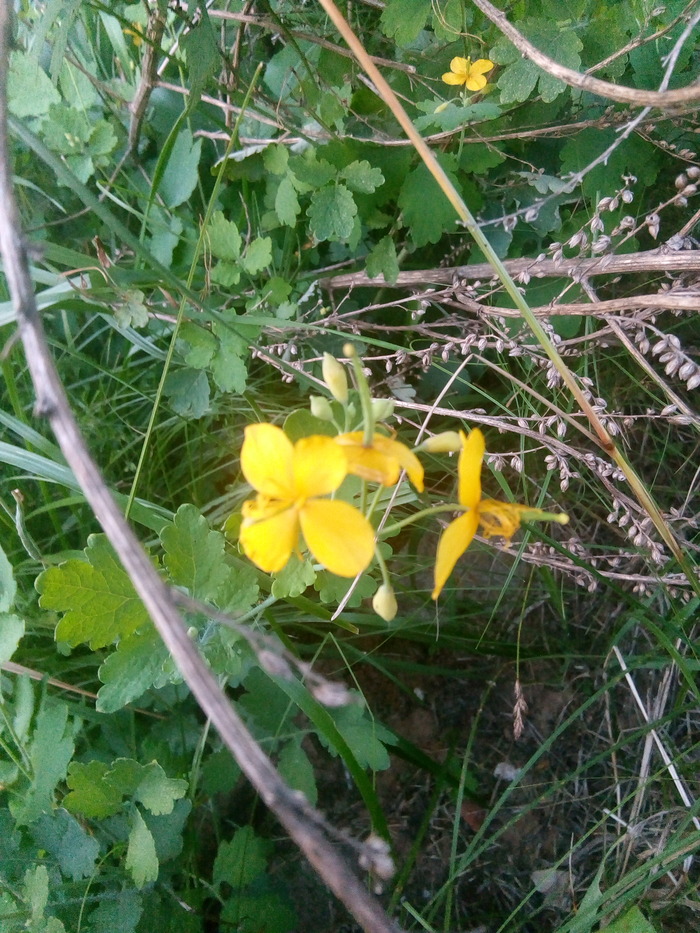 ��������. ��������� ���.