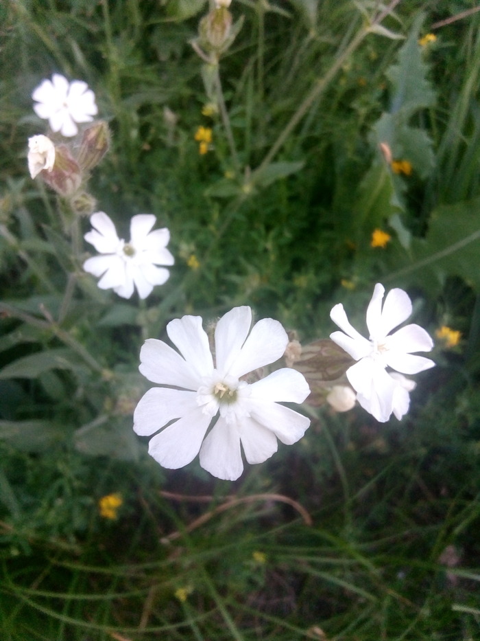 �� ���� ���. ������ ������ �����������! ���� ��������.