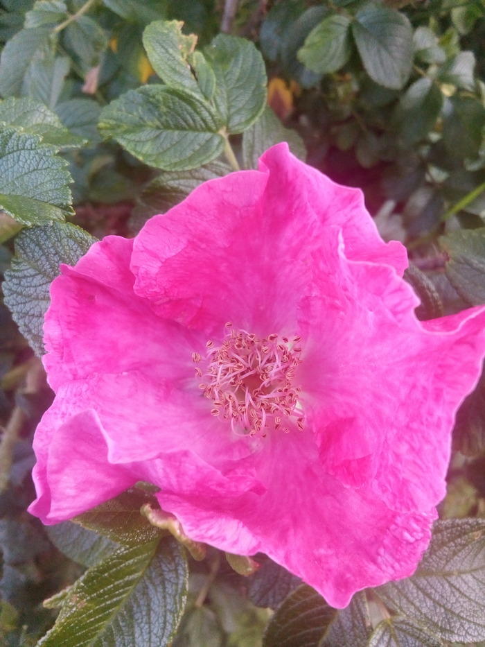 ��������. ��� ����� �������. ������-�� ����� ����� �������� ������. ����� ���� ������ ��� ��� ���� ����� ����.