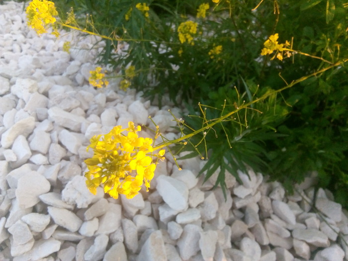 ���-�� �� ��������� �������������, ��-�����. ������ ����� �� ������, � ������ - ���-�� "����������".